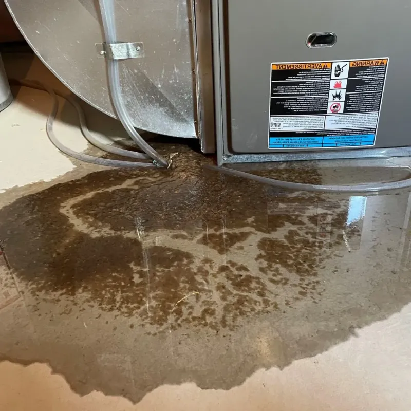 Pipe Burst and Leak Restoration in Fort Leonard Wood, MO